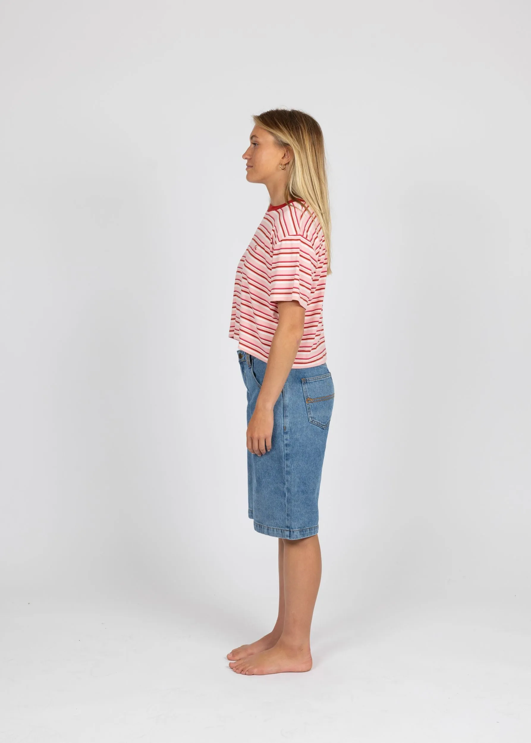 PENNY STRIPED CROP TEE