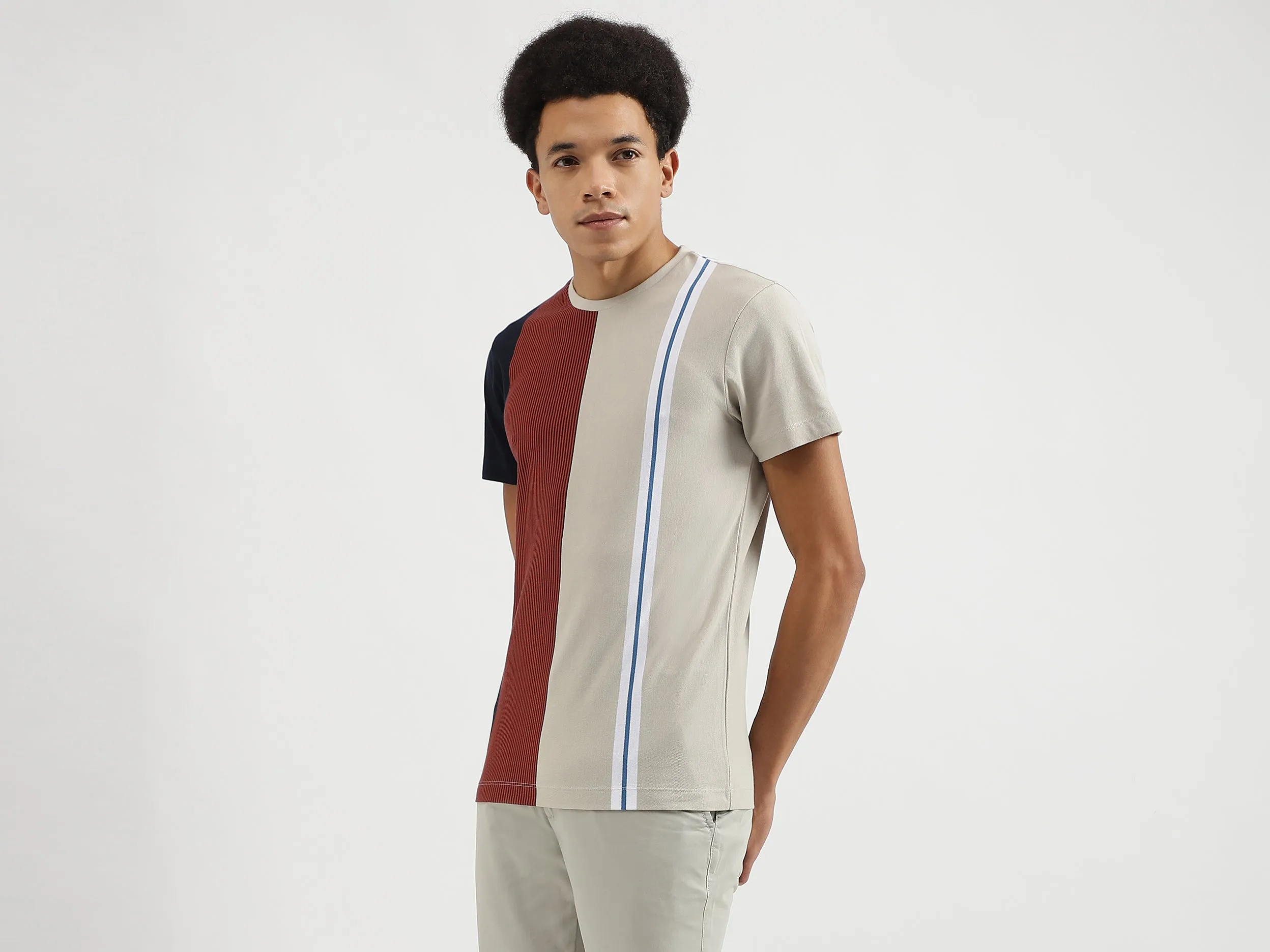 Regular Fit Round Neck Striped T-Shirts